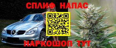 дурь Славгород