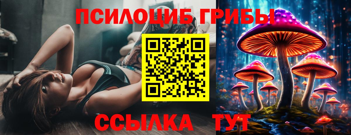 Галлюциногенные грибы Magic Shrooms Петропавловск-Камчатский