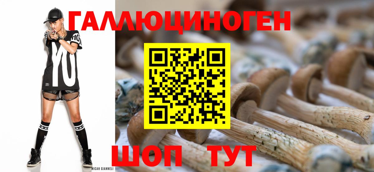Галлюциногенные грибы прущие грибы  Псилоцибиновые грибы мухоморы  что такое   Вход с VPN  Петропавловск-Камчатский 